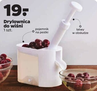 Netto Drylownica oferta