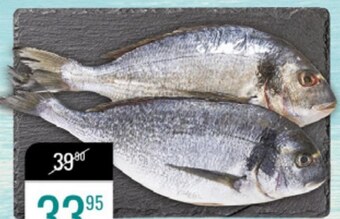 bi1 Dorada oferta