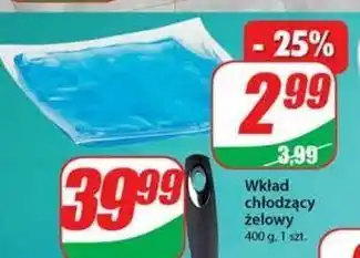 Dino Wkład chłodzący żelowy 400 g oferta