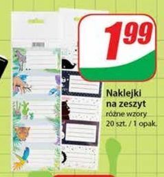 Dino Naklejki na zeszyty oferta