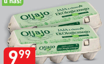 Stokrotka Optima Jajka o!jajo oferta