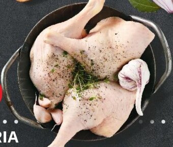 Kaufland Noga z kaczki oferta