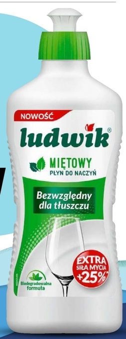 Makro Ludwik płyn do naczyń miętowy 450 g oferta