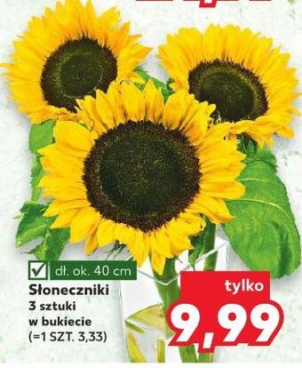 Kaufland Słonecznik oferta