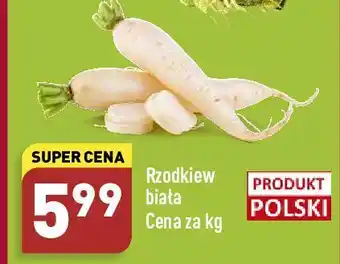 ALDI Rzodkiewka biała oferta