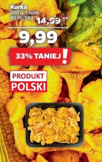 Netto Kurki oferta