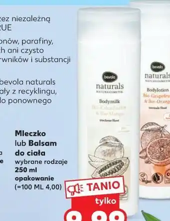 Kaufland Balsam do ciała kokos-sheabutter bevola oferta