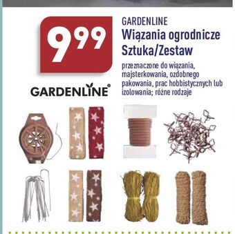 ALDI Wiązania ogrodowe garden line oferta