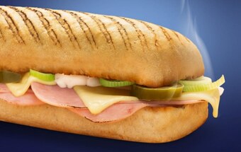 Panini
