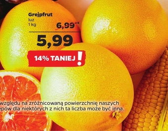Netto Grejpfrut oferta