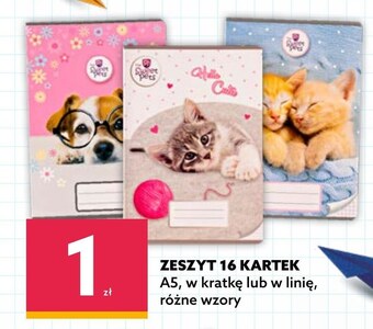 Dealz Zeszyt oferta