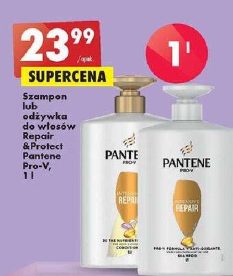 Biedronka Szampon intensive repair pantene pro-v oferta