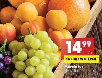 Biedronka Morele oferta