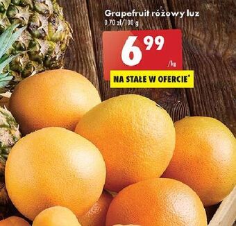 Biedronka Grapefruit różowy oferta