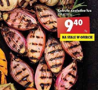 Cebula szalotka