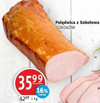 Polędwica sokołów