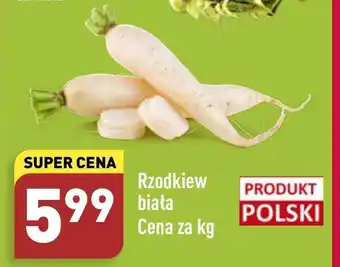 ALDI Rzodkiewki aldi oferta