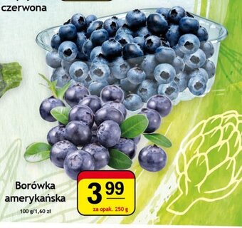 Borówka amerykańska 250 g