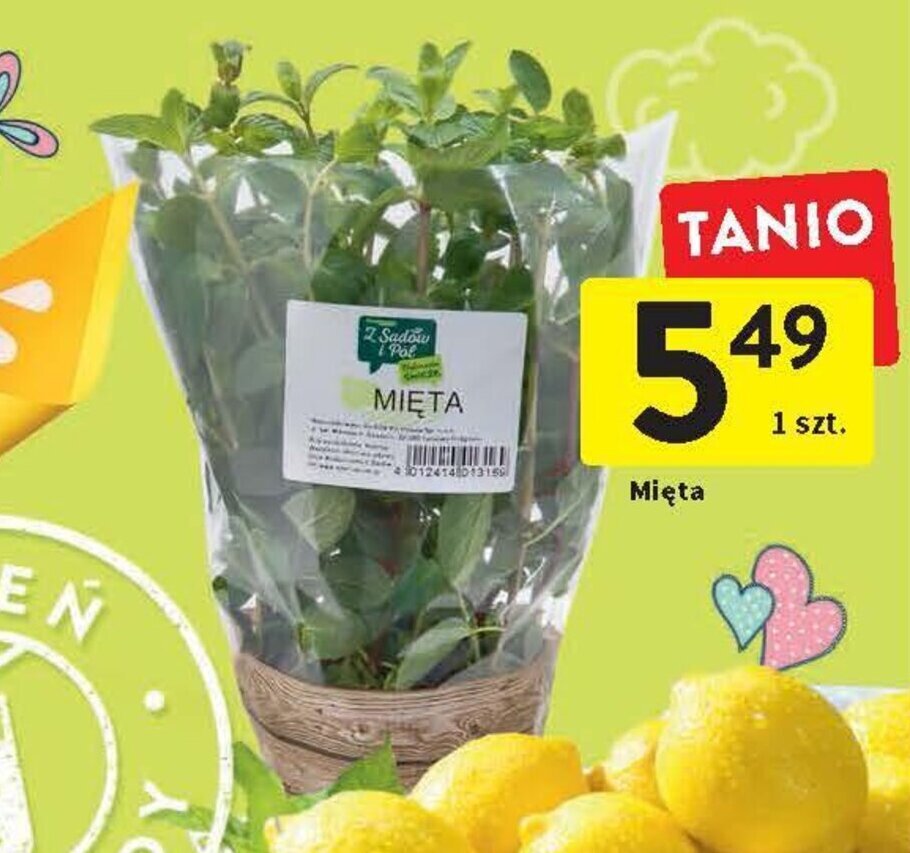 Intermarche Mięta 1 szt. oferta