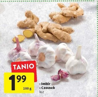 Intermarche Imbir/czosnek 100 g oferta
