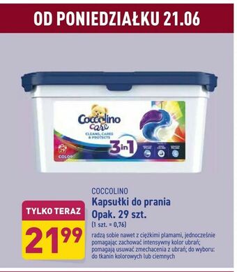 ALDI Kapsułki do prania oferta