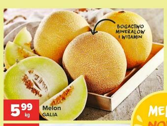Carrefour Melon oferta
