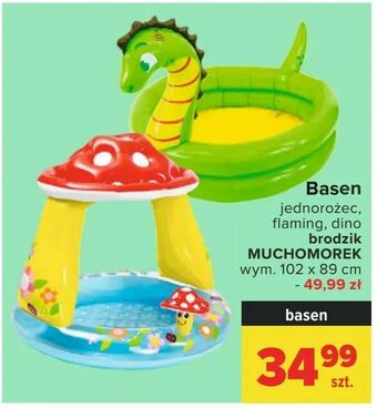 Carrefour Basen oferta