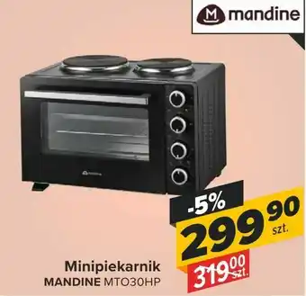 Carrefour Minipiekarnik oferta