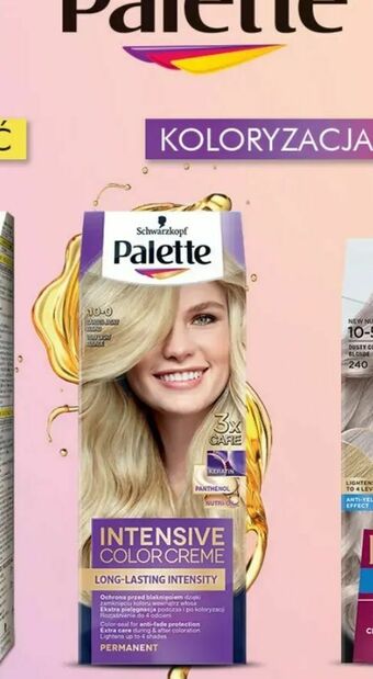 Hebe Palette Intensive Color Creme oferta