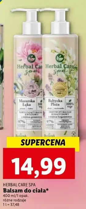 Lidl Balsam do ciała dzika róża farmona herbal care oferta