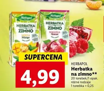 Lidl Herbatka mięta-mango herbapol na zimno oferta