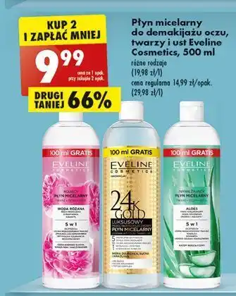 Biedronka Płyn micelarny różany 3 w 1 eveline cosmetics oferta