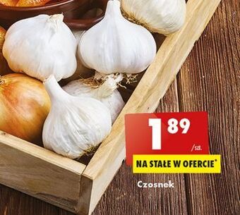 Biedronka Czosnek oferta