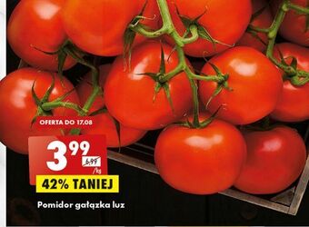 Biedronka Pomidory gałązka oferta