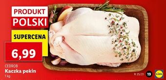 Lidl Kaczka pekin oferta