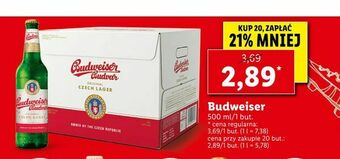 Lidl Budweiser oferta