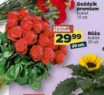 Netto Róża oferta