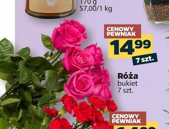 Netto Róża oferta