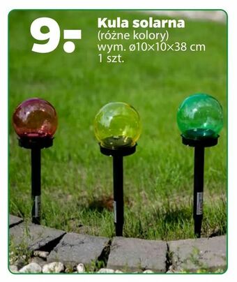 Netto Kula solarna oferta