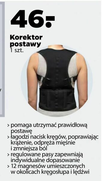 Netto Korektor postawy oferta