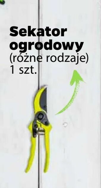 Netto Sekator ogrodowy oferta