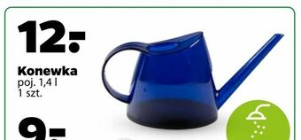 Netto Konewka oferta