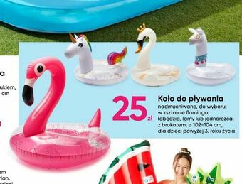 Pepco Koło do pływania oferta
