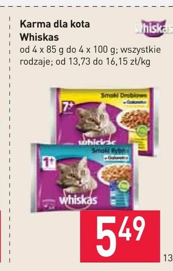 Stokrotka Karma dla kota Whiskas oferta
