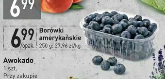 Borówki amerykańskie