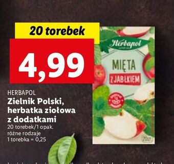 Herbata mięta z jabłkiem herbapol