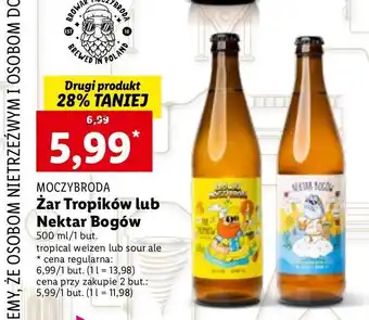 Lidl Piwo moczybroda żar tropików oferta