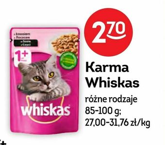 Żabka Karma Whiskas oferta