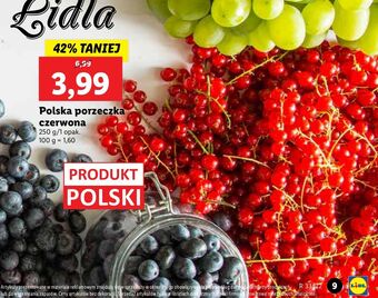 Lidl Czerwona porzeczka oferta