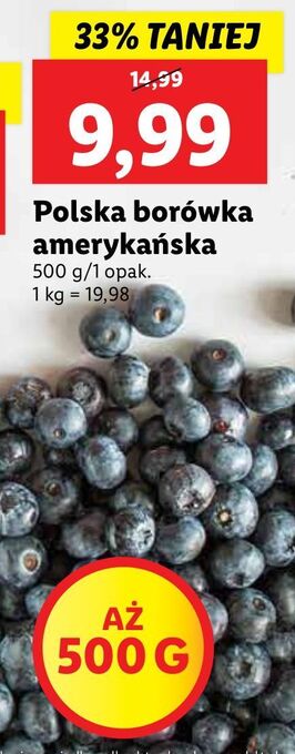 Lidl Borówki amerykańskie oferta